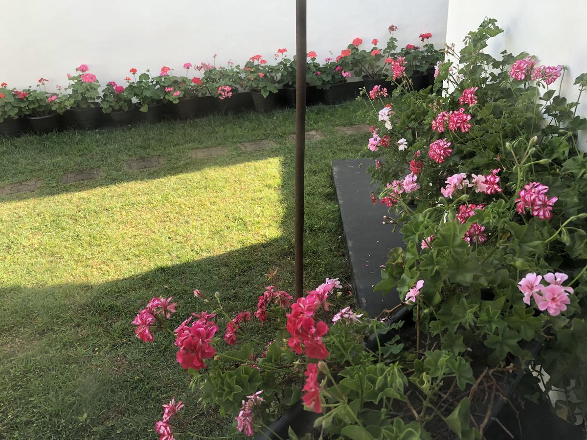 Bungalow 28 Nuwara Eliya Ngoại thất bức ảnh
