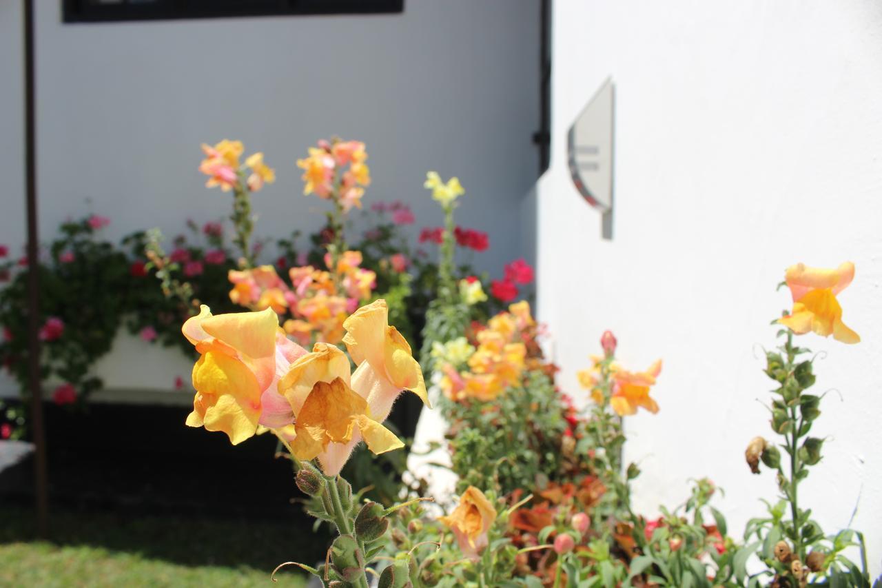 Bungalow 28 Nuwara Eliya Ngoại thất bức ảnh